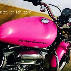 priyanka chopra bike pink harley davidson