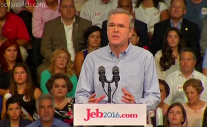 Jeb Bush picture